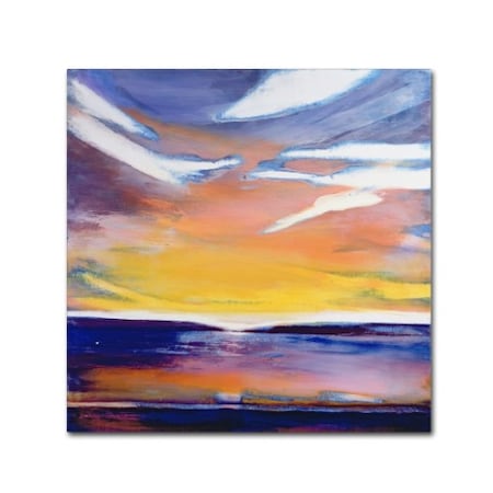 Lou Gibbs 'Evening Seascape' Canvas Art,18x18